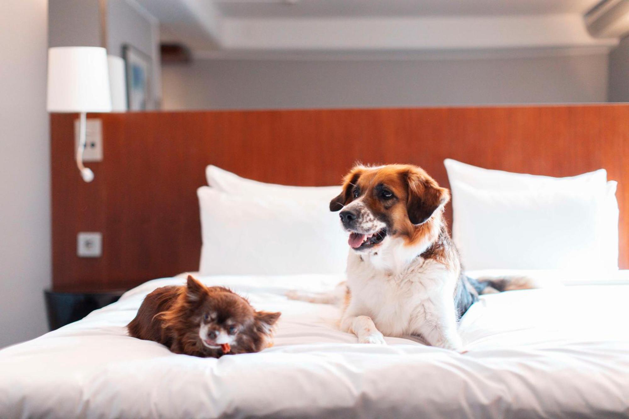 Hotel Radisson Blu Arlandia Hotel, Stockholm-arlanda Arlanda